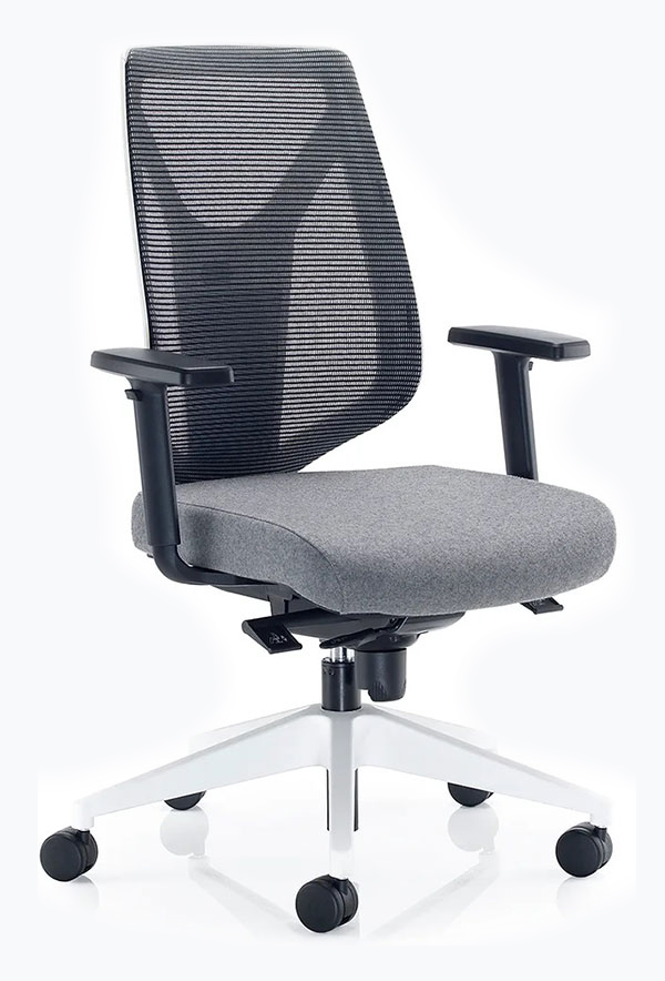 An image of the Mentor mesh chair